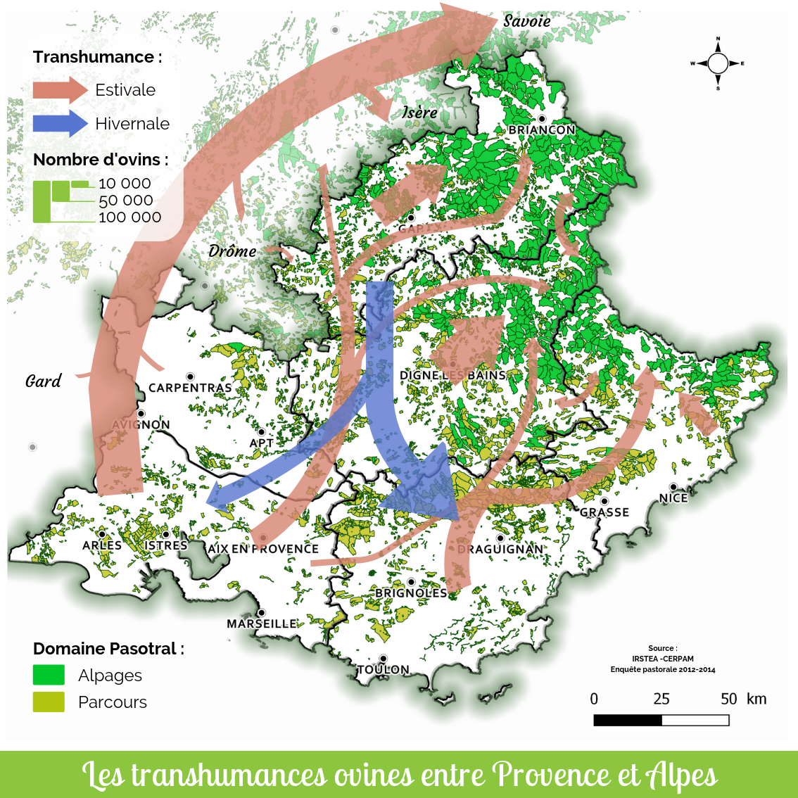 Carte des transhumances ovines